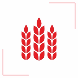 Antrac �apa Makineleri